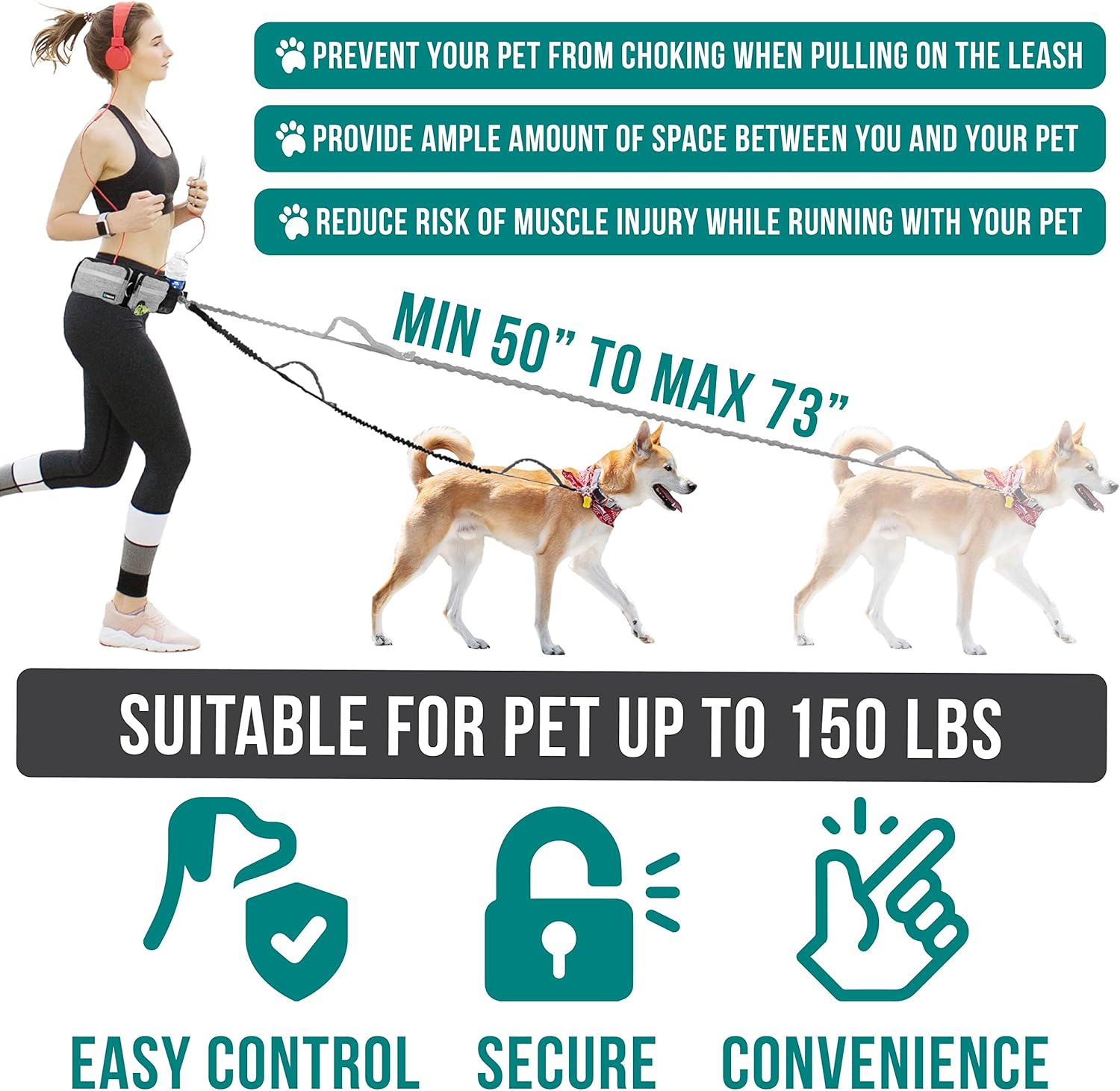 宠物腰带、牵引绳